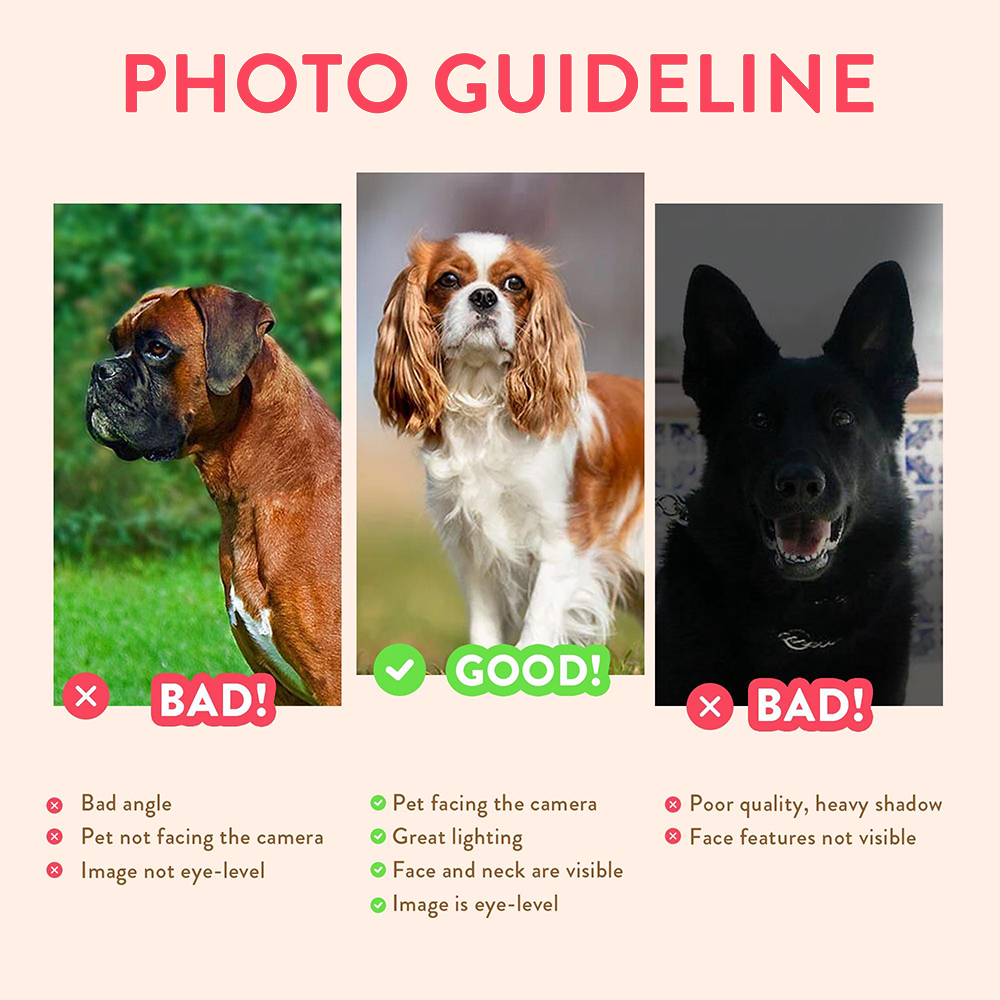Personalized Pet Portraits Pho - đánh giá và giá Photograph Lyrics