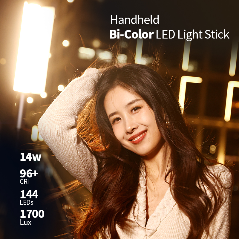 JINBEI EFT-220BI Handheld Port - đánh giá và giá Photography Studio