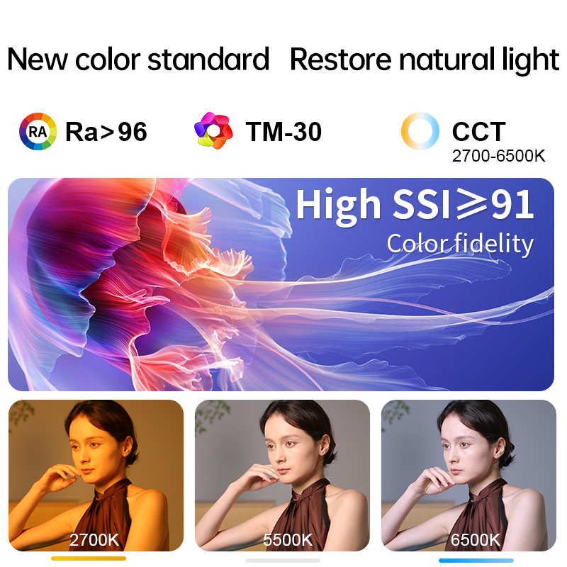 JINBEI JL300BI Studio LED Vide - đánh giá và giá Photography Studio